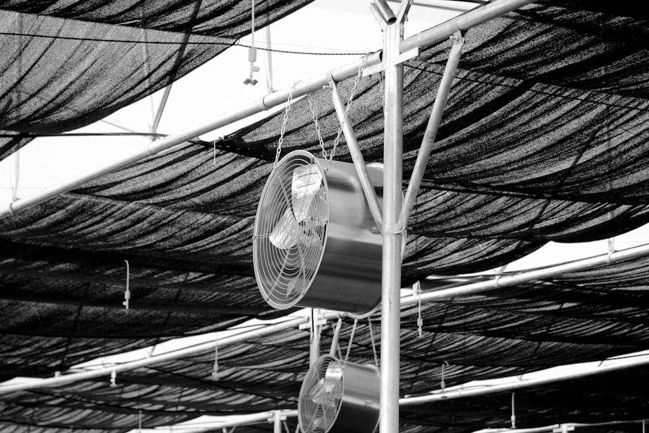 ventilation serre de jardin