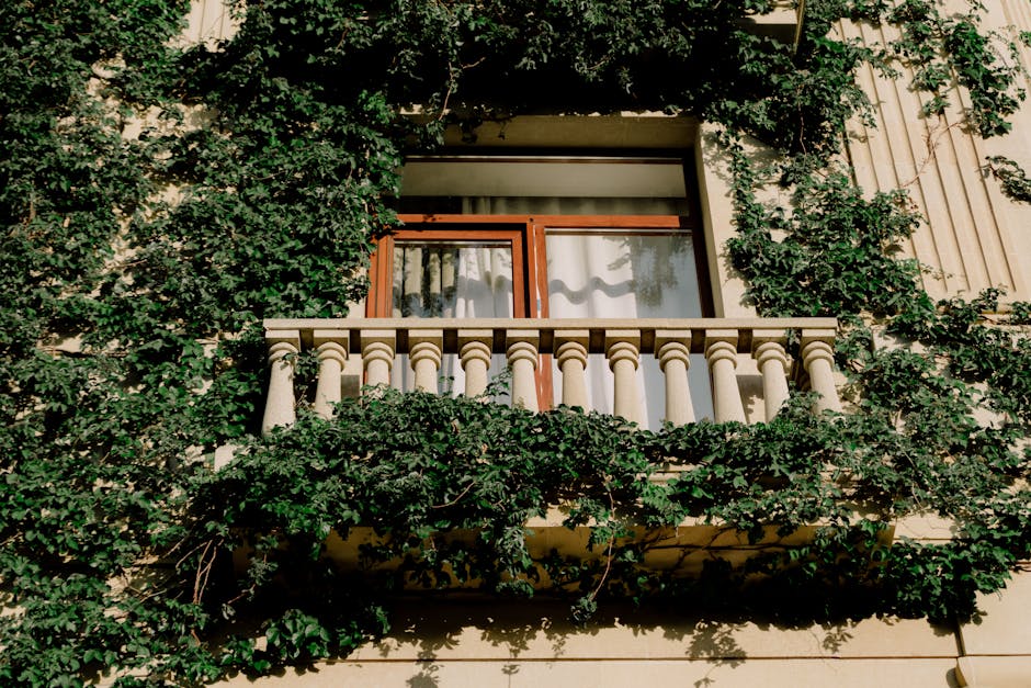 plantes grimpantes pour balcon