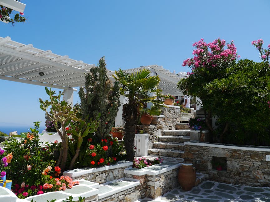 plantes grimpantes pour pergola