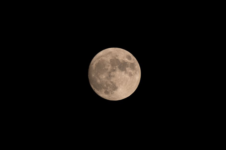 jardiner avec la lune calendrier